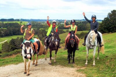 Matakana Art & Horse Riding Experience Private Tour From Auckland