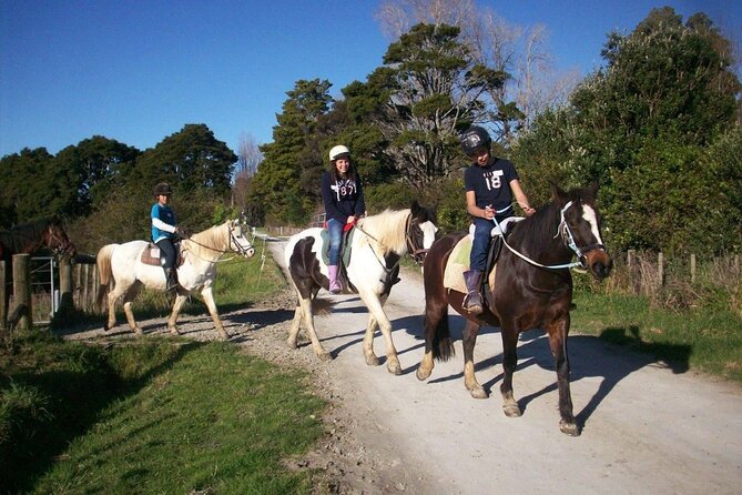Matakana Art & Horse Riding Experience Private Tour From Auckland - Charlies Gelato in Matakana