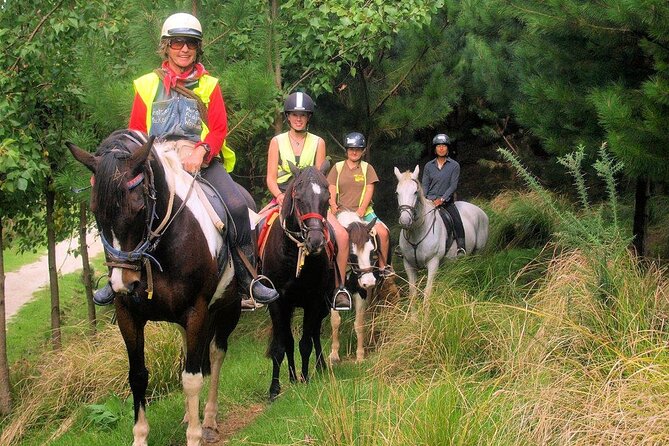 Matakana Art & Horse Riding Experience Private Tour From Auckland - Practical details before you book
