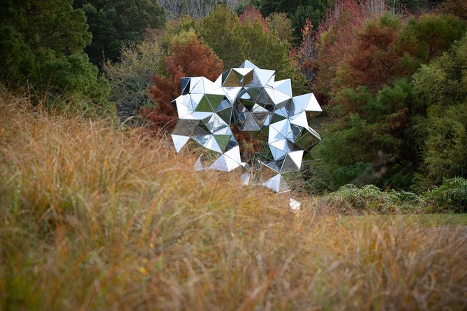 Matakana Art & Vineyard Experience incl. Lunch & Wine Tasting Tour From Auckland - A sweet beginning at Chocolate Brown