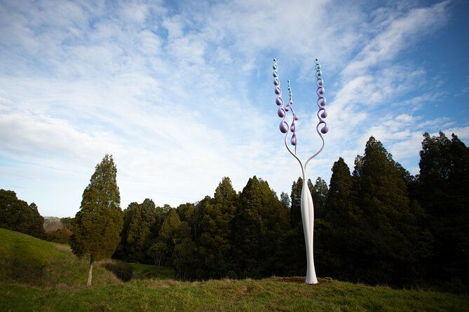Matakana Art & Vineyard Experience incl. Lunch & Wine Tasting Tour From Auckland - Who should book this day