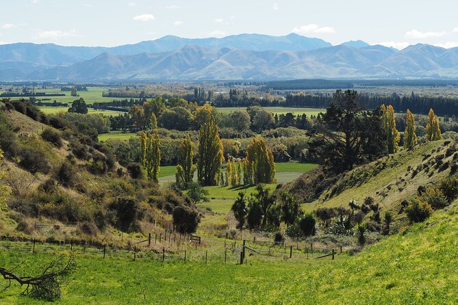 Merino Farm Experience - A short visit with a genuine farm connection