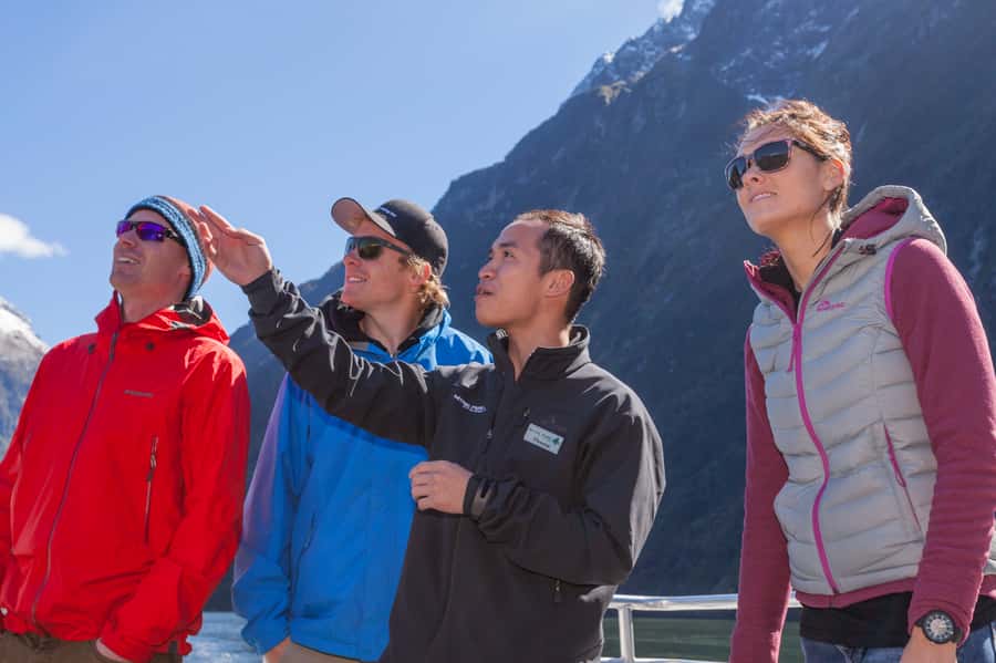 Milford Sound: 2-Hour Small Boat Scenic Cruise - Lion Mountain, Copper Point, and Seal Rock