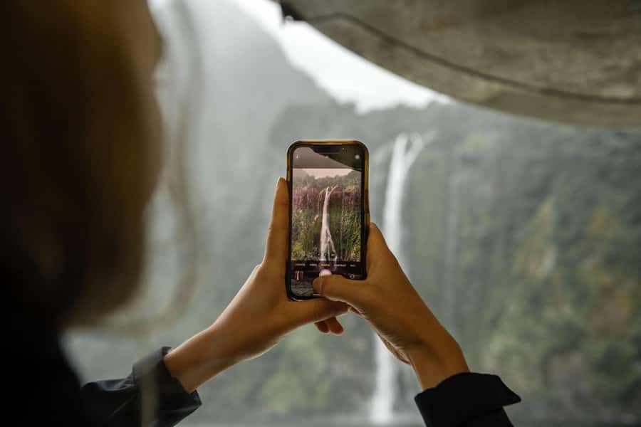 Milford Sound: 2-Hour Wildlife & Nature Cruise - Cruising beneath Milford Sound’s sheer cliffs