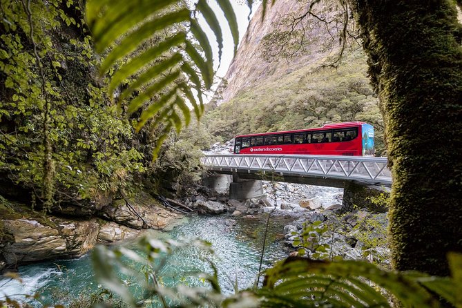 Milford Sound Coach & Cruise ex Te Anau Stunning Views with Lunch - The Milford Road journey from Te Anau