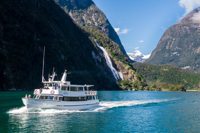 Milford Sound Cruise - Wildlife is possible, not promised