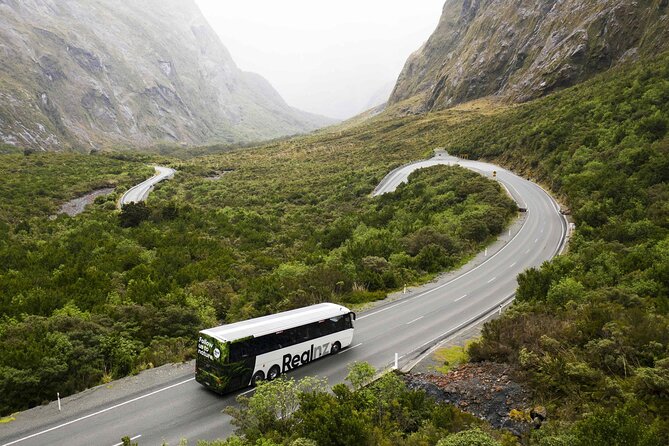 Milford Sound Cruise from Queenstown or Te Anau - Is $145.83 good value?