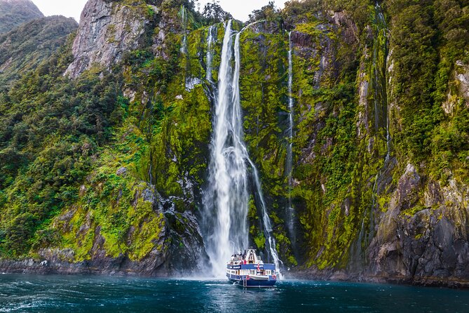 Milford Sound Cruise from Queenstown or Te Anau - What the guide adds to the day