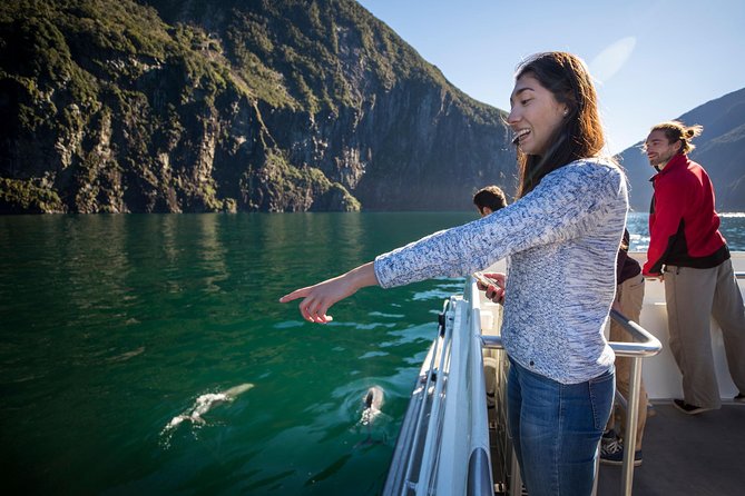Milford Sound Cruise: Stunning Views & Optional Picnic or Buffet - Wildlife along Seal Point and the fiord