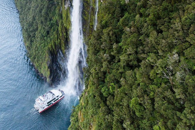 Milford Sound Luxury Lunch Cruise onboard The Fiordland Jewel - Lunch with the scenery in front of you