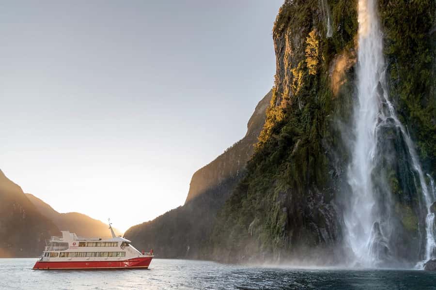 Milford Sound: Nature Cruise - Grand Views & Optional Lunch - Wildlife at Copper Point and beyond