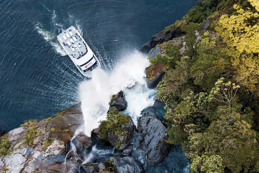 Milford Sound: Nature Cruise - Grand Views & Optional Lunch - Reaching the Milford Sound terminal