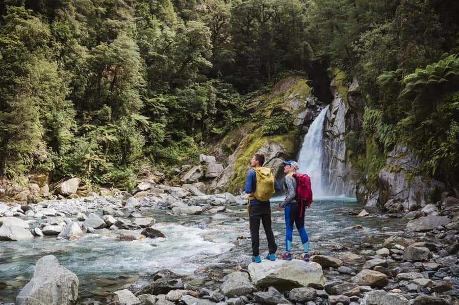 Milford Sound: Nature Cruise & Milford Track Walk - Who should book this Milford Sound day