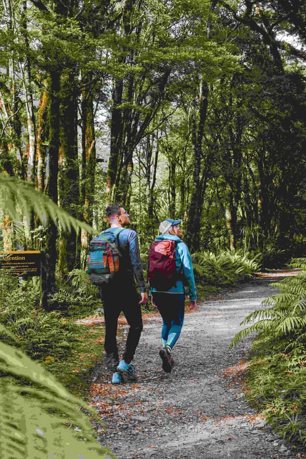 Milford Sound: Nature Cruise & Milford Track Walk - Starting at Deepwater Basin