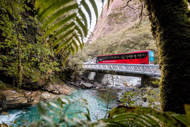 Milford Sound Premium Coach & Cruise from Queenstown with Lunch - The two-hour Milford Sound nature cruise