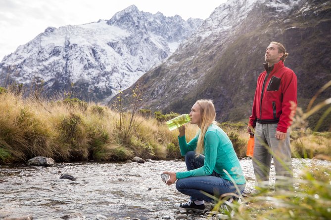 Milford Sound Premium Coach & Cruise from Queenstown with Lunch - What the guides add to the day