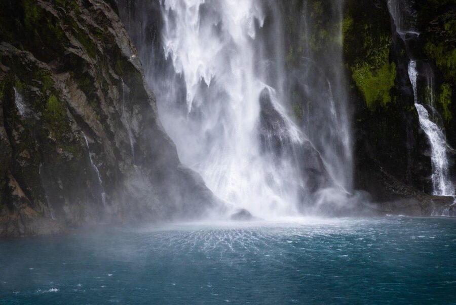 Milford Sound: Premium Small Group Cruise with Canape Lunch - Wildlife on a changeable Milford day