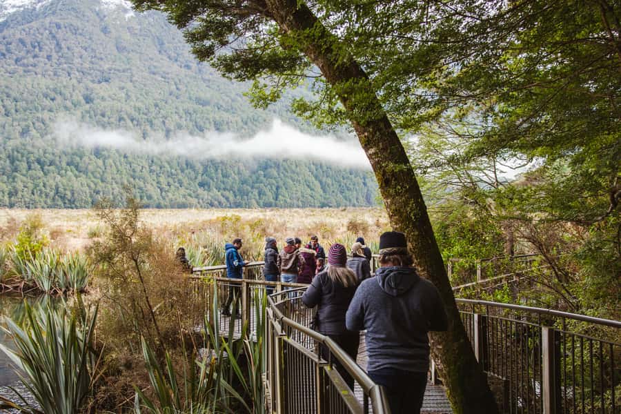 Milford Sound: Premium Small Group Tour from Queenstown - Milford Road provides the day’s best roadside stops