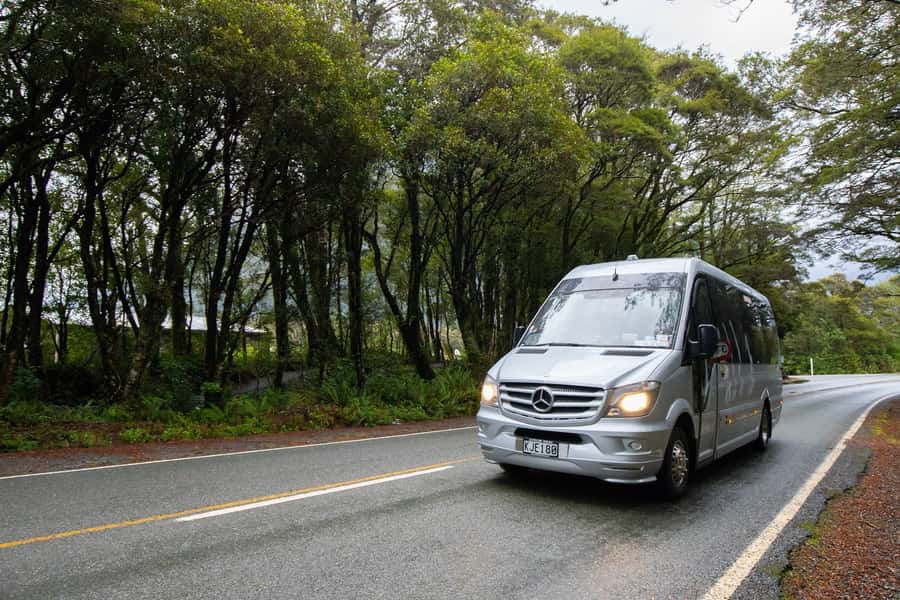Milford Sound: Premium Small Group Tour from Queenstown - The glass-roof van upgrade
