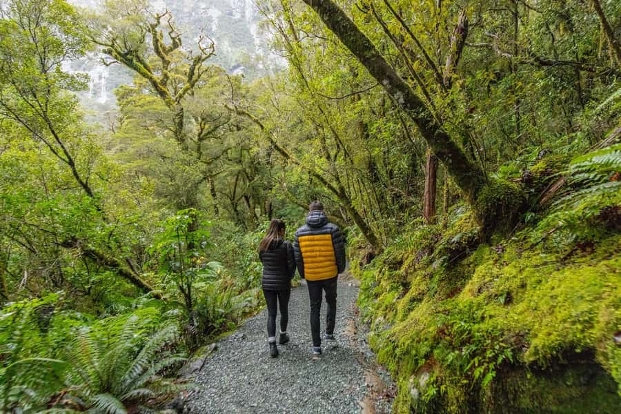 Milford Sound: Premium Small Group Tour from Queenstown - Guides make or break a long day