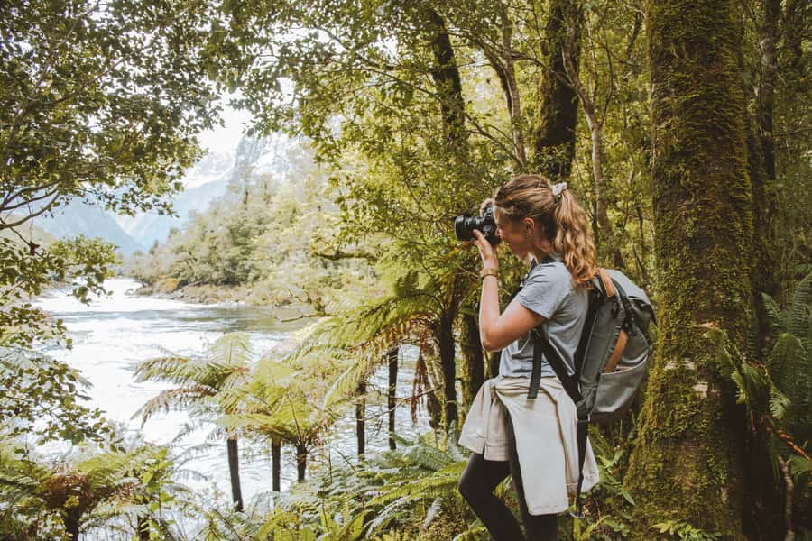 Milford Sound: Self-Guided Milford Track Day Walk - Returning through the bush to Sandfly Point