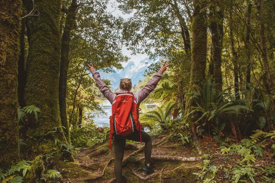Milford Sound: Self-Guided Milford Track Day Walk - Practical tips for a smoother outing