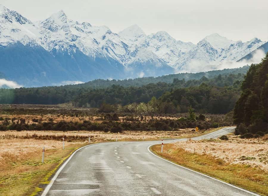 Milford Sound: Small-Group Tour from Te Anau - Why $178 can be good value