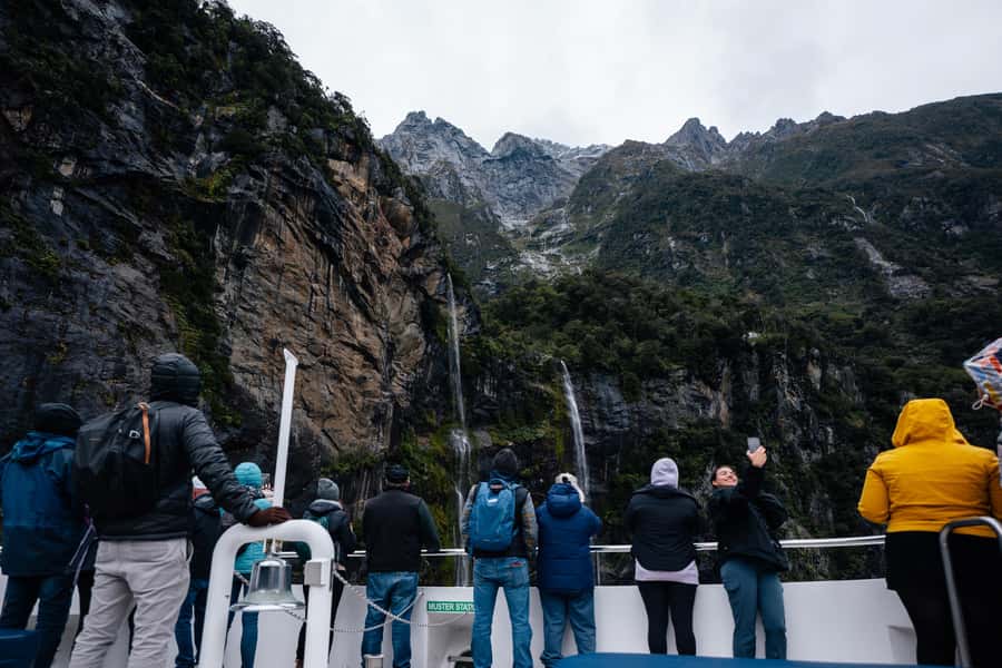 Milford Sound: Waterfalls, Wildlife, and Rainforest Cruise - Snacks, Drinks, and the Missing Lunch