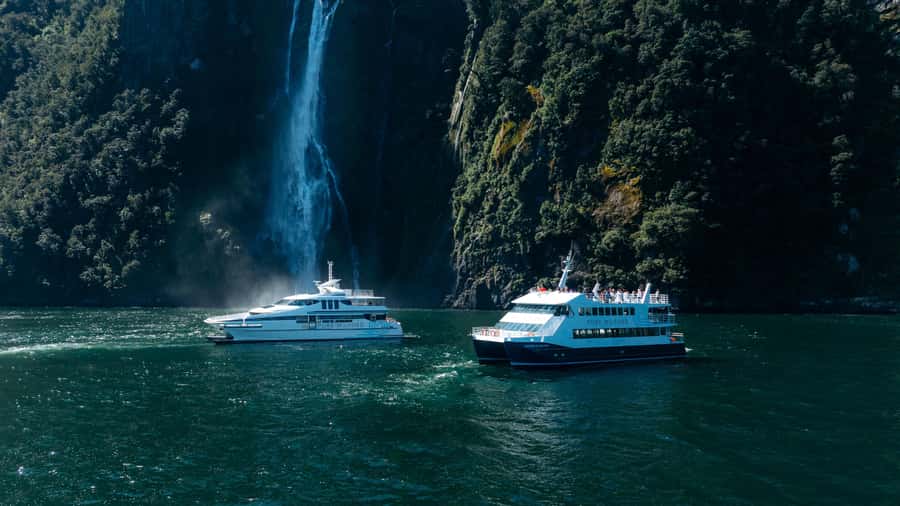 Milford Sound: Waterfalls, Wildlife, and Rainforest Cruise - The First Views Across the Fiord