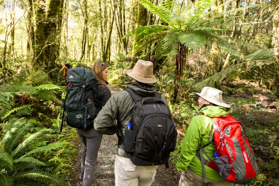 Milford Track: Full Day Guided Hike and Nature Cruise - Who should book this day