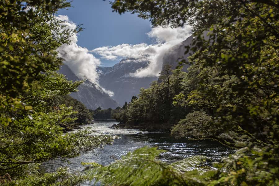 Milford Track: Full Day Guided Hike and Nature Cruise - Crossing Deep Water Basin to the track