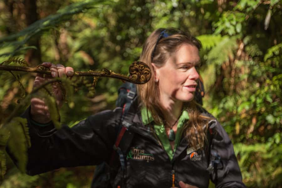 Milford Track: Full Day Guided Hike and Nature Cruise - The early Milford Sound start matters