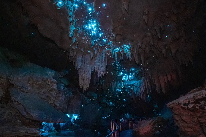 Milky Way Glowworm Cave Tour - A small cave with a very big sky