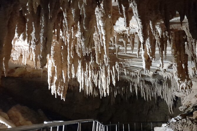 Milky Way Glowworm Cave Tour - Why the guide makes a difference