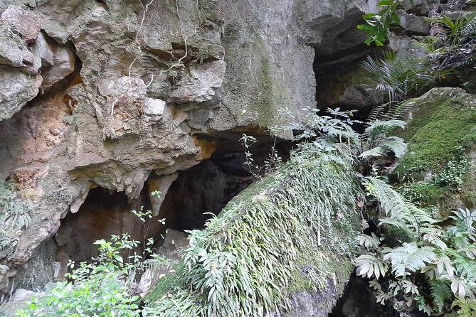 Milky Way Glowworm Cave Tour - Who will get the most from this experience