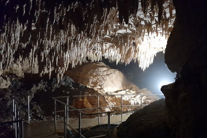 Milky Way Glowworm Cave Tour - Is $27.93 good value?