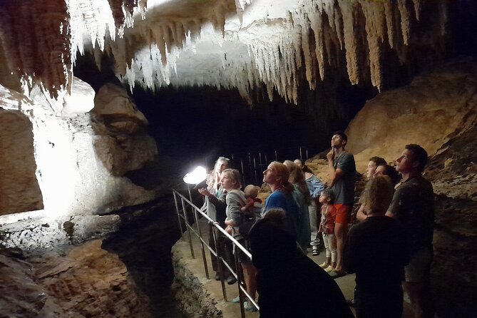 Milky Way Glowworm Cave Tour - Getting there from Auckland