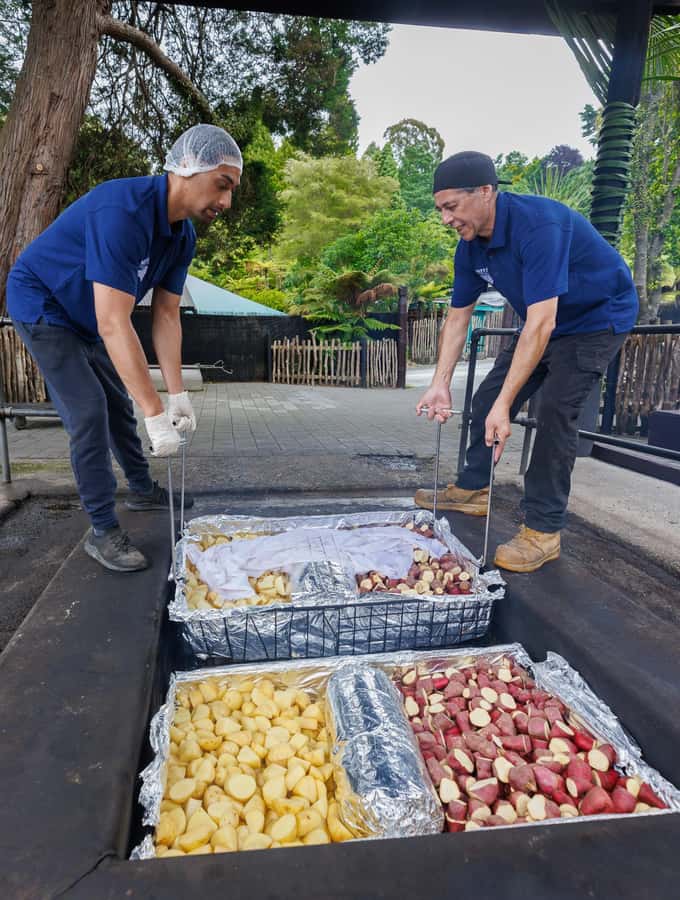 Mitai Maori Village: Cultural Experience and Dinner Buffet - How the three-hour schedule feels