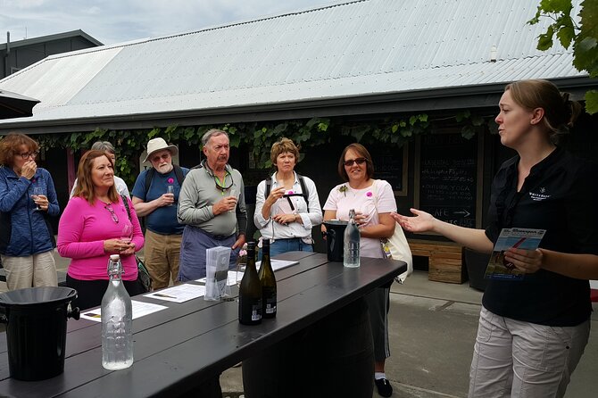 Morning Guided with Afternoon Self-Guided Biking Wine Tour - What the $117.91 price covers