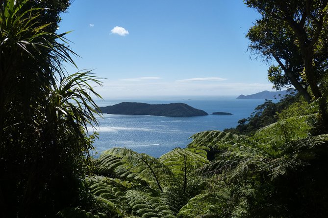 Motuara Island Bird Sanctuary and Ship Cove Cruise from Picton - Motuara Island, where the birds set the pace