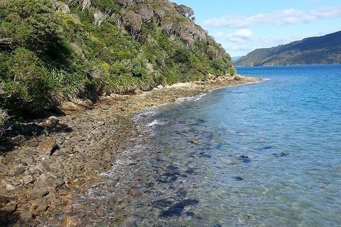 Motuara Island Bird Sanctuary and Ship Cove Cruise from Picton - Timing, boat comfort, and the 70-person limit