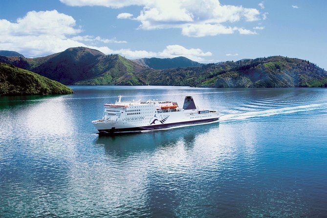 Motuara Island Bird Sanctuary and Ship Cove Cruise from Picton - Should you book the Motuara and Ship Cove cruise?