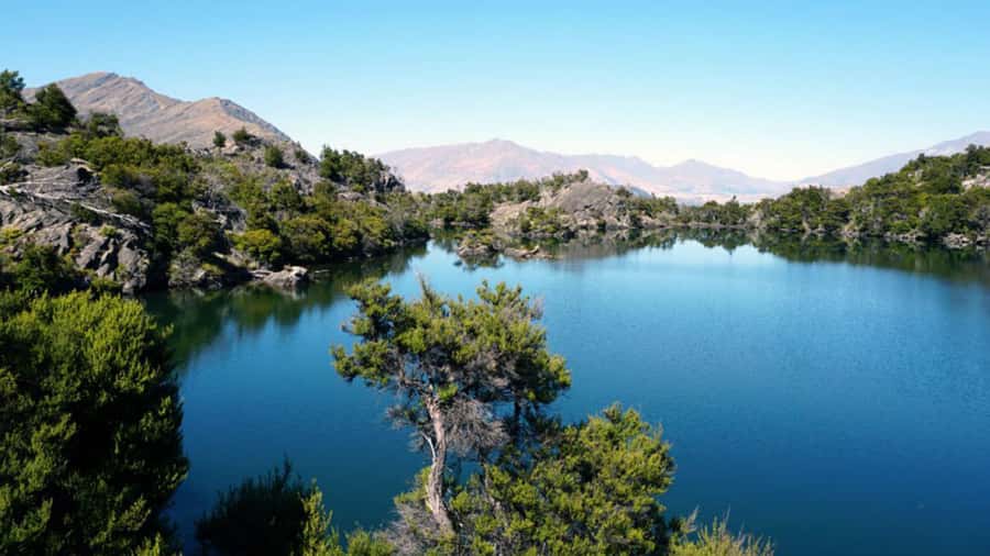 Mou Waho Island: 3-Hour Cruise and Guided Nature Walk - Is $101 a fair price?