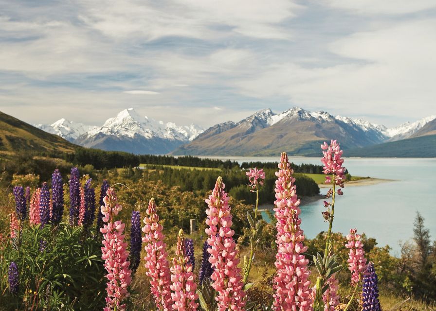 Mt. Cook Day-Tour: Christchurch to Queenstown - Who should book this day tour?
