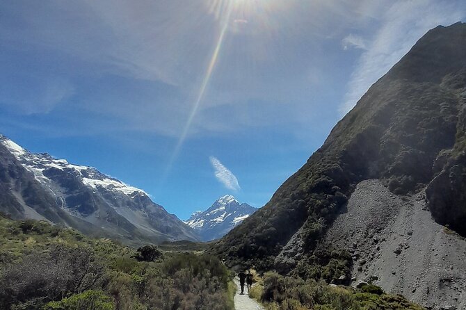 Mt. Cook Full Day Group Tour via Tekapo from Christchurch - Lavender farms are a summer extra