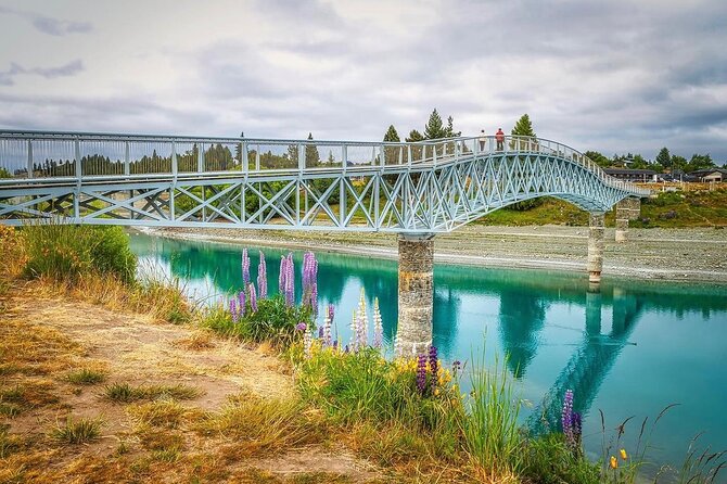 Mt. Cook Full Day Private Tour via Tekapo from Christchurch - Price, group size, and what you receive