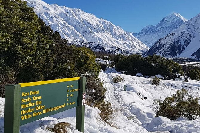 Mt Cook & Lake Tekapo 2-Day Small Group Tour from Queenstown - High Country Salmon and the return to Queenstown