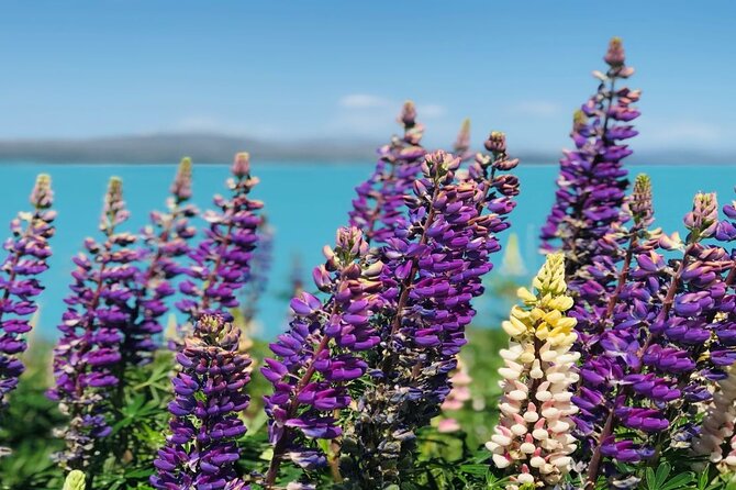 Mt Cook to Christchurch One-Way Small Group Tour via Lake Tekapo - Following the road beside Lake Pukaki