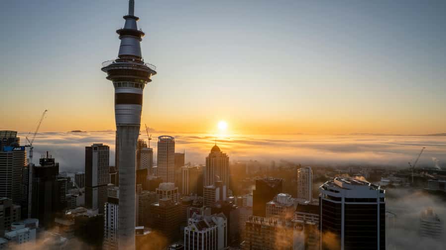 Mt. Eden, Piha Beach & Karekare Waterfalls - PRIVATE TOUR - Key points to know before booking