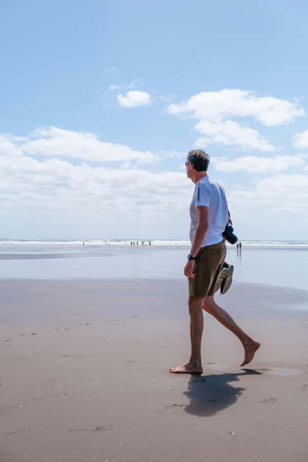 Mt. Eden, Piha Beach & Karekare Waterfalls - PRIVATE TOUR - Arataki Visitor Centre connects forest, ocean, and Māori culture